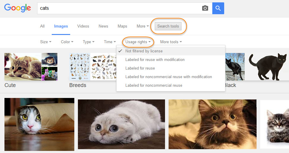 google-image-rights