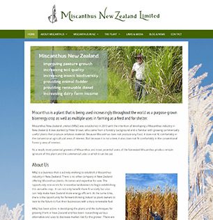 miscanthus-5